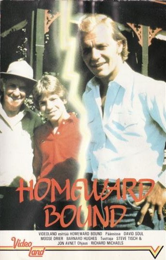 1980