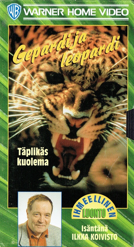 1961